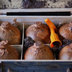 Rượu mao đài ủ trấu 21 năm thượng hạng